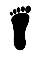 Bay Foot LLC